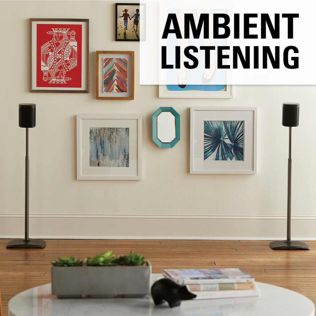 WSSA2-B1 Ambient Listening Two Speakers